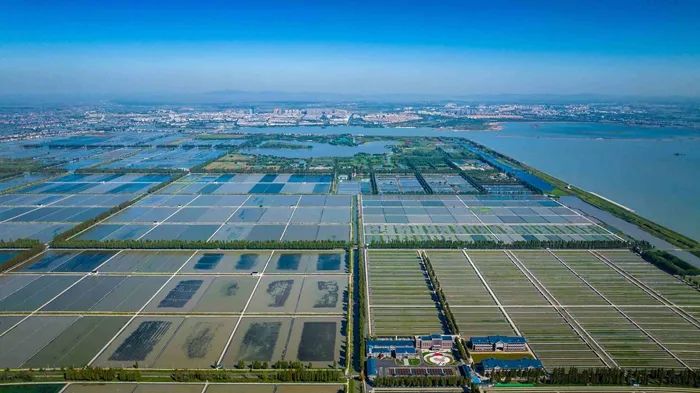 航拍高淳固城湖螃蟹核心區(qū)。高淳區(qū)融媒體中心供圖